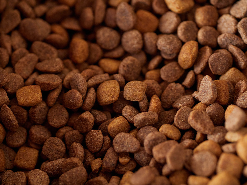 Pet Food Packaging Solutions